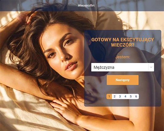 Wiecejnizflirt Logo